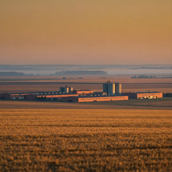 Deutsches Industriegelände mit Fabrikhallen auf einer landwirtschaftlichen Ebene — sinnbildlich für Lebensmittel-Industrie und Maschinenbau im Burgenlandkreis